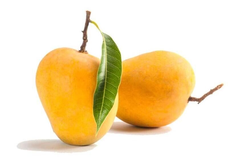 fresh fruits export from India