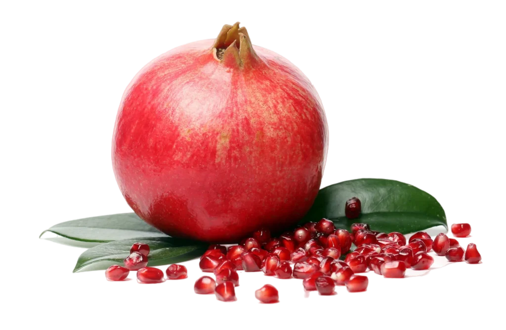 fresh fruits export from India