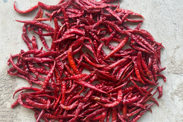 Red Chilli 1 Red Chilli