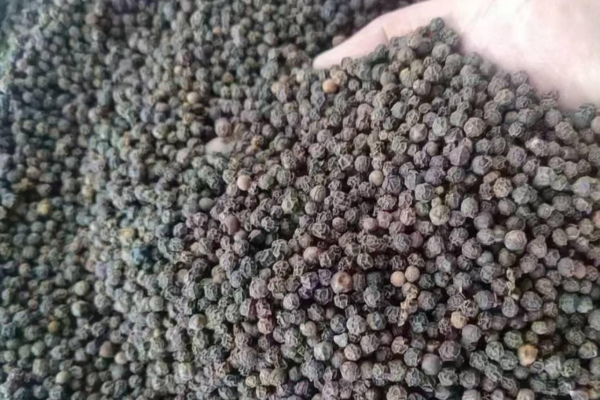 Black Pepper 2 black pepper