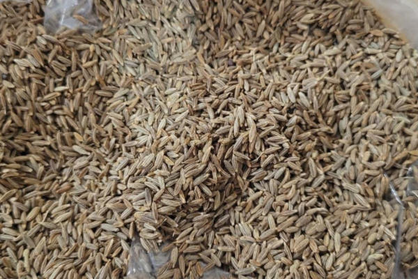 Cumin 3 Cumin