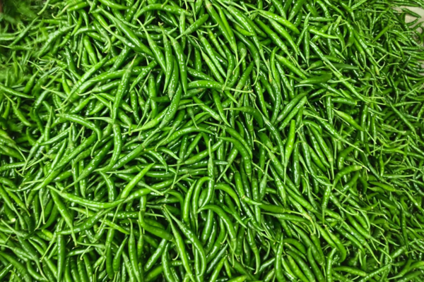 Green Chilli 1 Green Chilli
