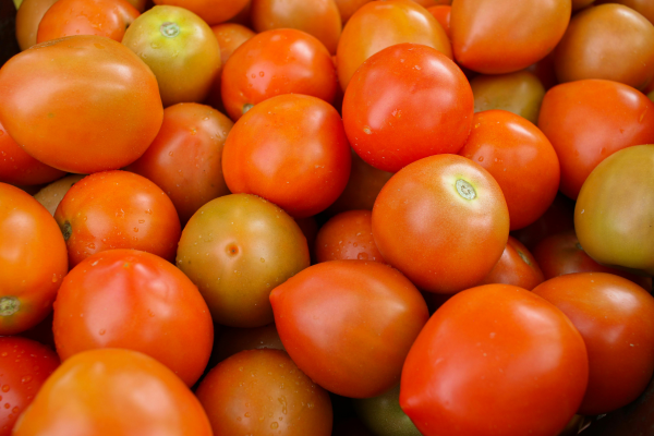 Tomatoes