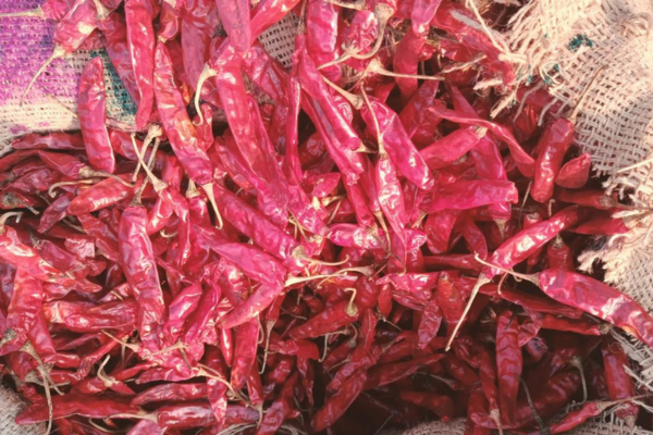 Red Chilli 3 Red Chilli