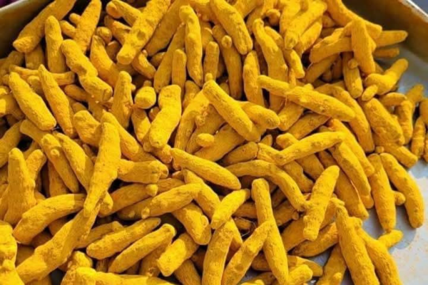 Turmeric 3 Turmeric