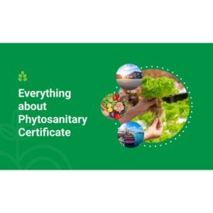 About Us 9 Phytosanitary Certificate