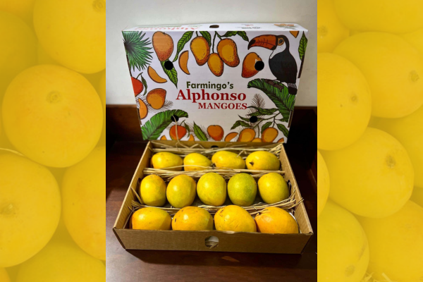 Alphonso (The Hapus)